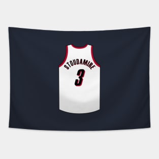 Damon Stoudamire Portland Jersey Qiangy Tapestry