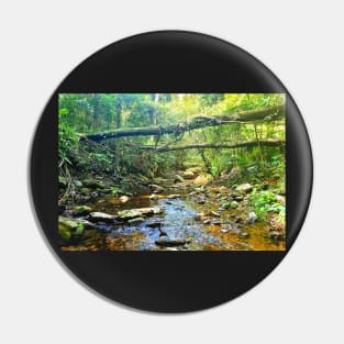 Riverbed Mountain Stream Pin