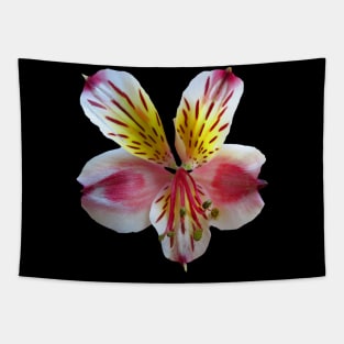 colorful blooming flower, blossom, summer, nature Tapestry