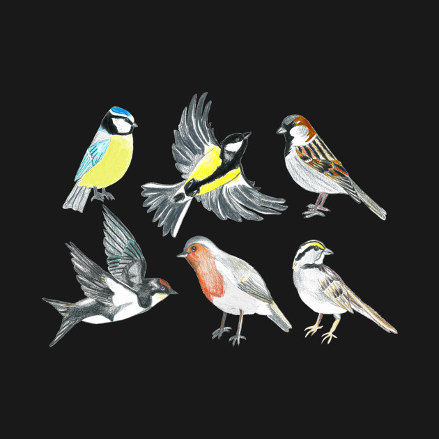 Discover Illustrated Birds - Version 2 - Bird Lover - T-Shirt