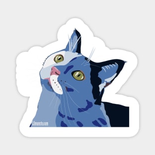 Stylized Colorful Cat Magnet