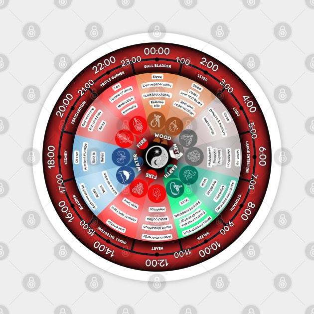 Chinese Biological Body clock 24h Red Magnet by PixelkaArt