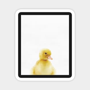 Baby Duck, Nursery, Animal, Kids room, Modern art, Wall decor Magnet