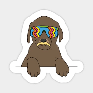 Chocolate Labrador puppy Dog wearing 80's skiing sunglasses Magnet