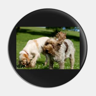 Head Shake Spinone Pin