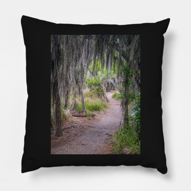 Hiking Trail in Santa Ana NWR Pillow by Debra Martz