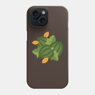 Fall Squash Phone Case