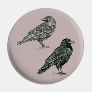 Crows. Pin