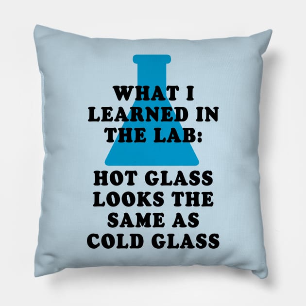 Chemistry Lab Glass Pillow by oddmatter