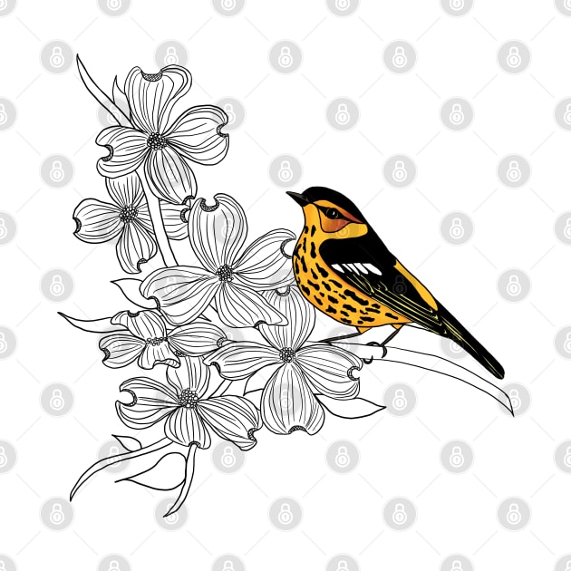 Cape May Warbler by Peleegirl