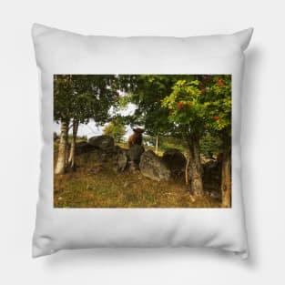 Scottish Highland Cattle Cow 2069 Pillow