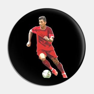 FIRMINO Pin