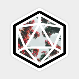 D20 Decal Badge - Dead on the Beach Magnet