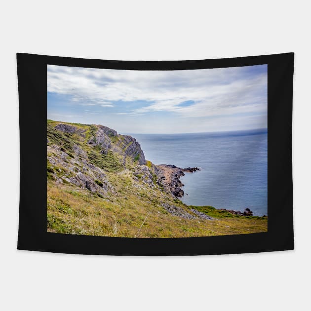 Red Chamber on the Gower Way, South Wales Tapestry by yackers1