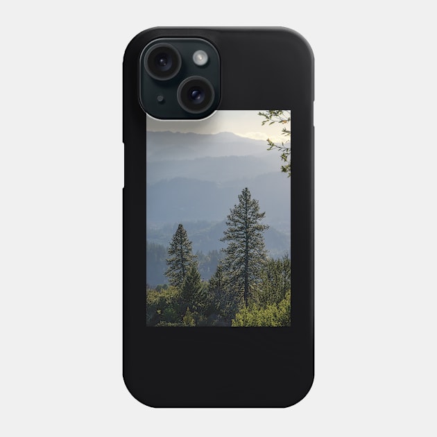 Napa Valley Hazy Afternoon Phone Case by DPattonPD