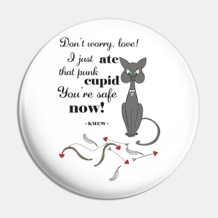 Valentine's Day Meme, Funny Cat Meme, Funny Cupid Design, Captain KMew Story, Cat Meme Pin