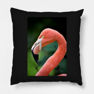 Flamingo Bird Pillow