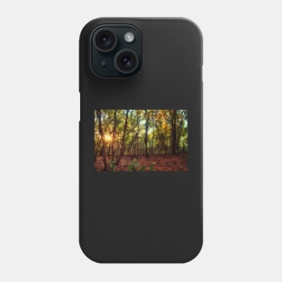 Magic in Wild Woods Phone Case