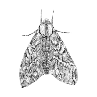 Black & white moth butterfly drawing - Privet Hawk Moth (Psilogramma menephron) T-Shirt