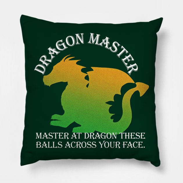 Dragon Master Pillow by JasonLloyd