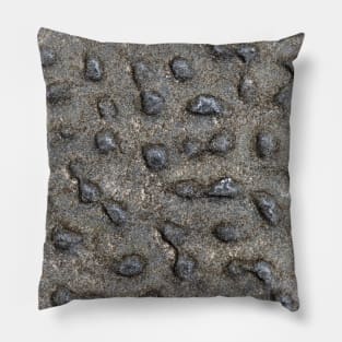 Spotted Volcanic Rock Formation Pillow