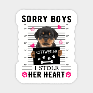 Rottweiler Sorry Boys I Stole Her Heart Happy Valentine's Day Magnet