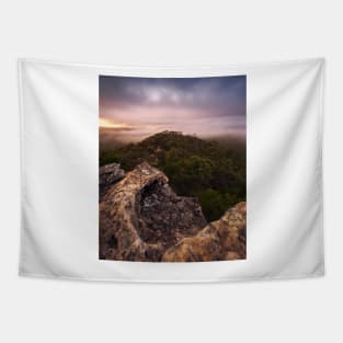 Foggy View Tapestry