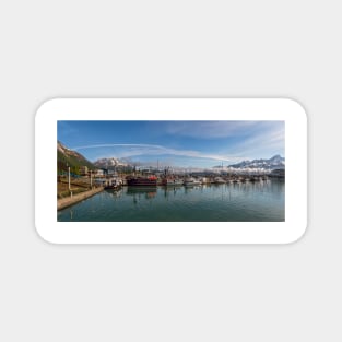 Seward Panorama Magnet