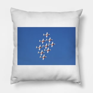 Snowbirds Pillow