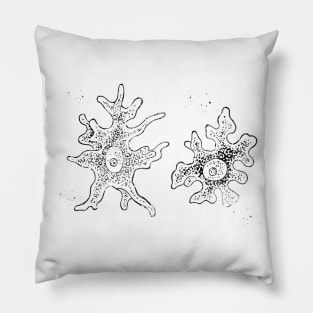 Amoeba Pillow