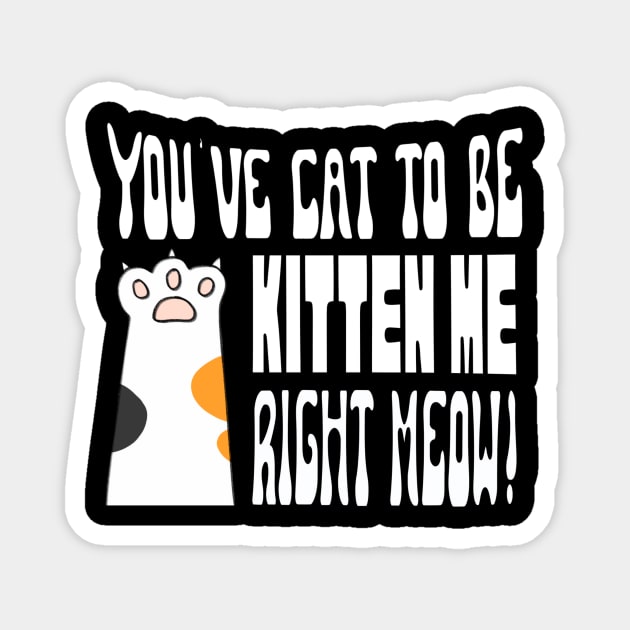 Cute Cat Kitten Lovers Design Magnet by missdebi27