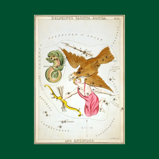 Constellations of Delphinus, Sagitta, Aquila, and Antinous from Urania's Mirror by MasterpieceCafe