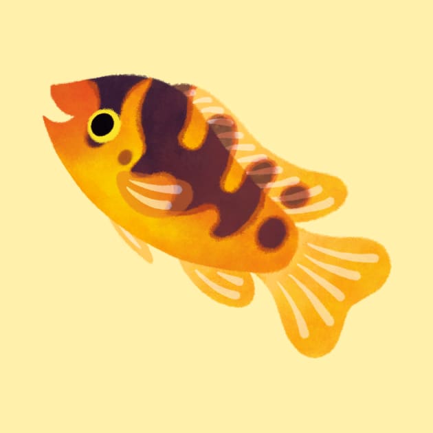 Bumblebee cichlid by pikaole