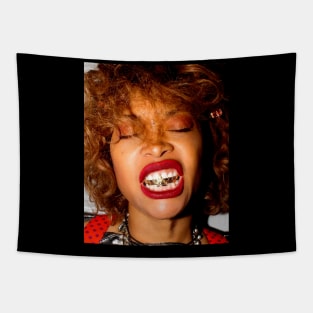 Erykah Badu Music Tapestry