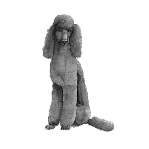 Poodle standard - black by doggyshop