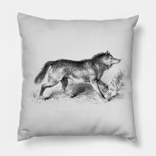 Wolf Vintage Wildlife Illustration Pillow