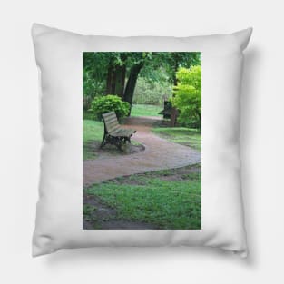 ibs park bench Pillow