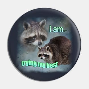 Trying Raccoon Meme Pin