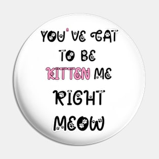 You Have Got To Be Kitten Me, For Cat Lovers, Cat Puns, Animal Puns Pin