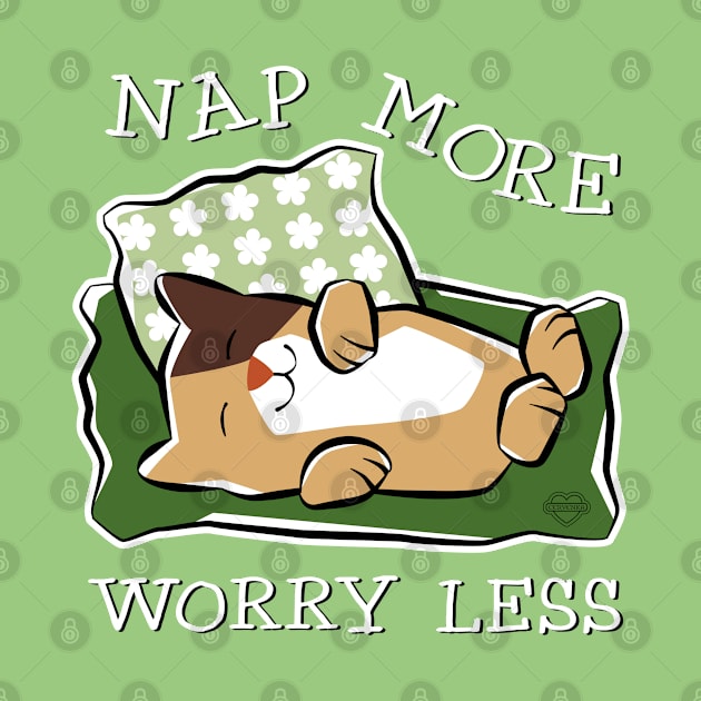 Nap More Worry Less by Sue Cervenka