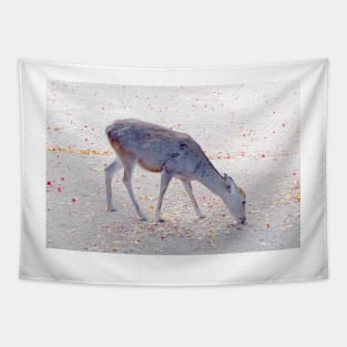 Deer 3 Tapestry