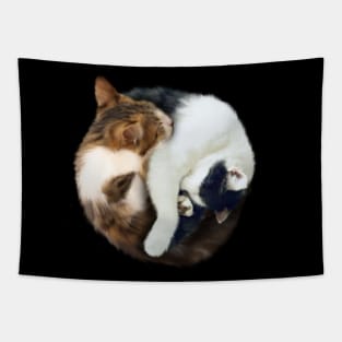 Yin Yang, Cats Cat Lover Kitten,  Chinese Symbol Tapestry