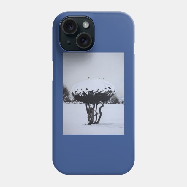 orriginal scenic snow picture landscape Phone Case by pollywolly