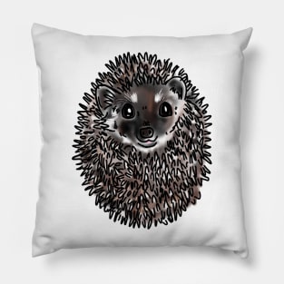 Cute Hedgehog Pillow