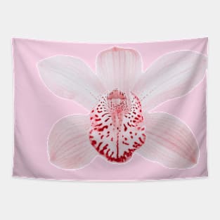 Light Pink Orchid Flower Element Tapestry