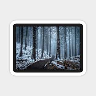 Winter Woods with Snow and Mist Magnet