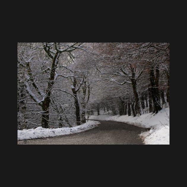 Snow covered woodland tree tunnel over road by Simon-dell