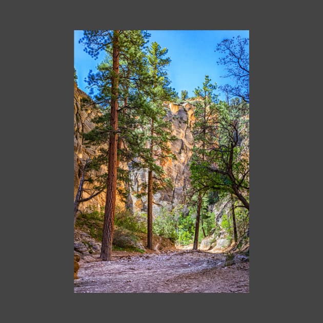 Lick Wash Trail Hike by Gestalt Imagery