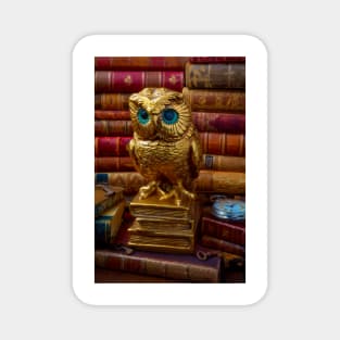 Golden Owl And Old Books Magnet