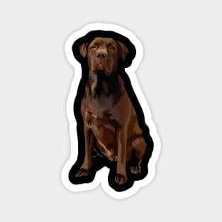 sitting dog sittingvector art Magnet